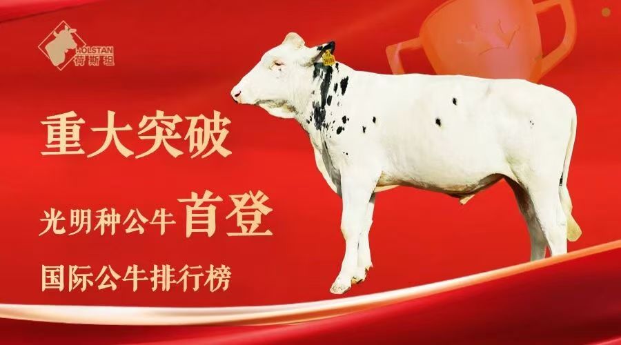 7e80d8691b1e75066ea4f9a4cdf652ec